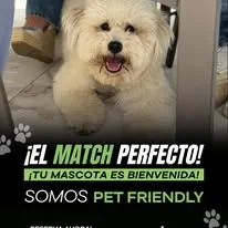 Pet friendly